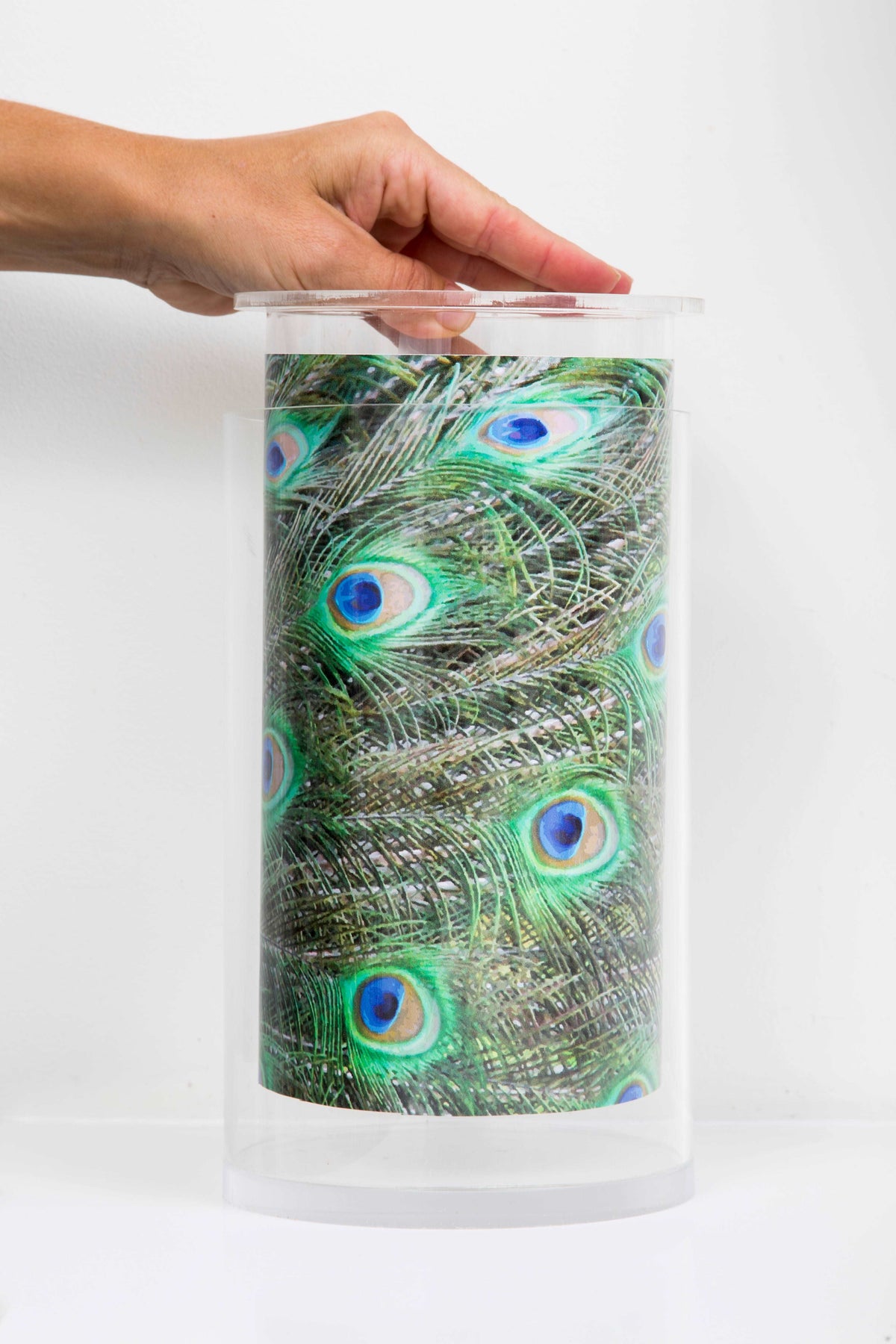 Vase Dailie Insert | Peacock - TingeDaily