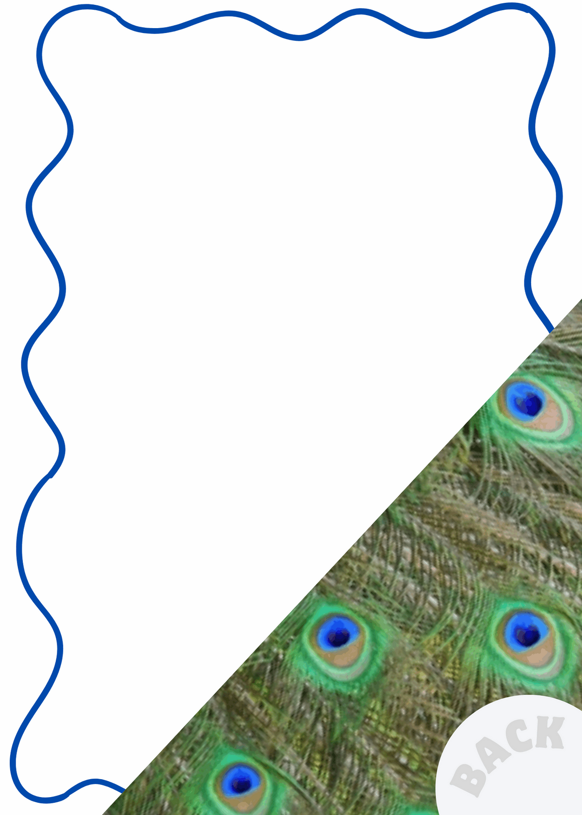 Menu Card | Navy Peacock
