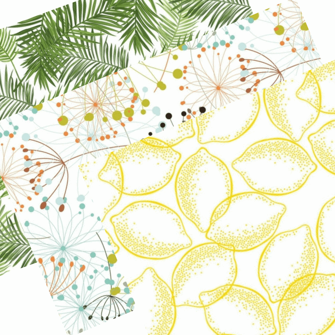 Party Pack | Back to Basics Dailies® - TingeDaily