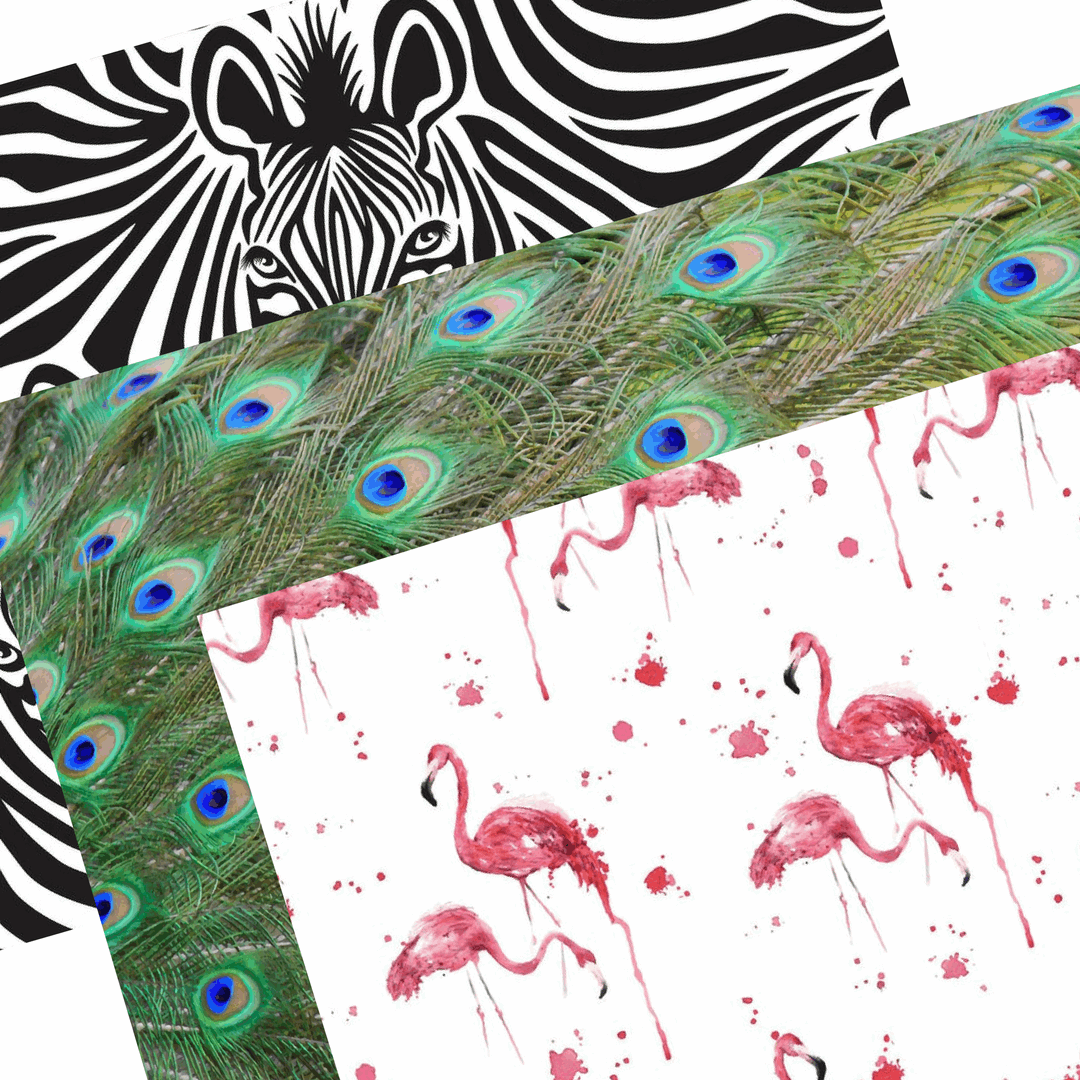 Party Pack | Call of the Wild Dailies® - TingeDaily