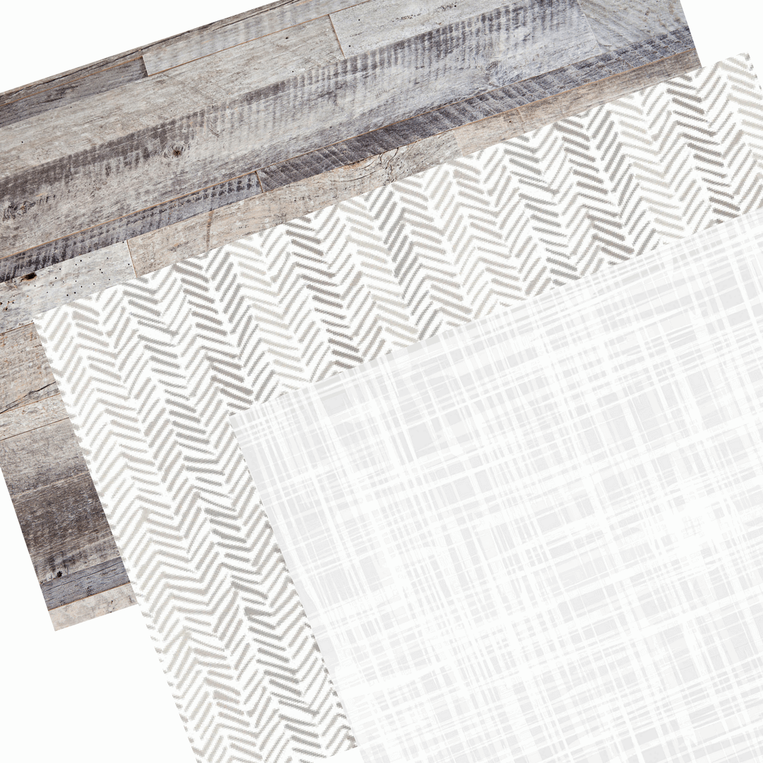 Party Pack | Cool Neutral Dailies® - TingeDaily
