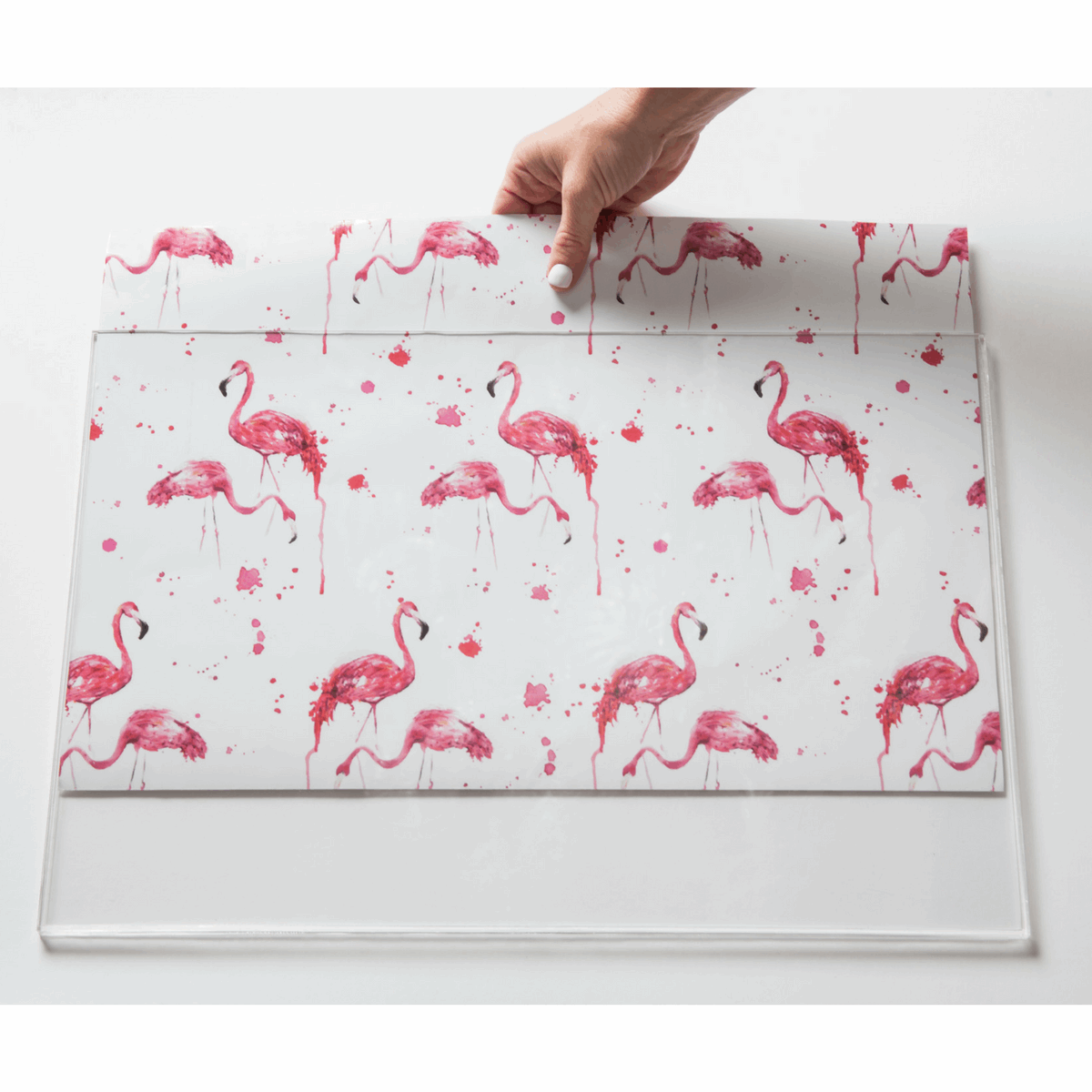 Rectangle Dailies® | Flamingos (2-Pack) - TingeDaily