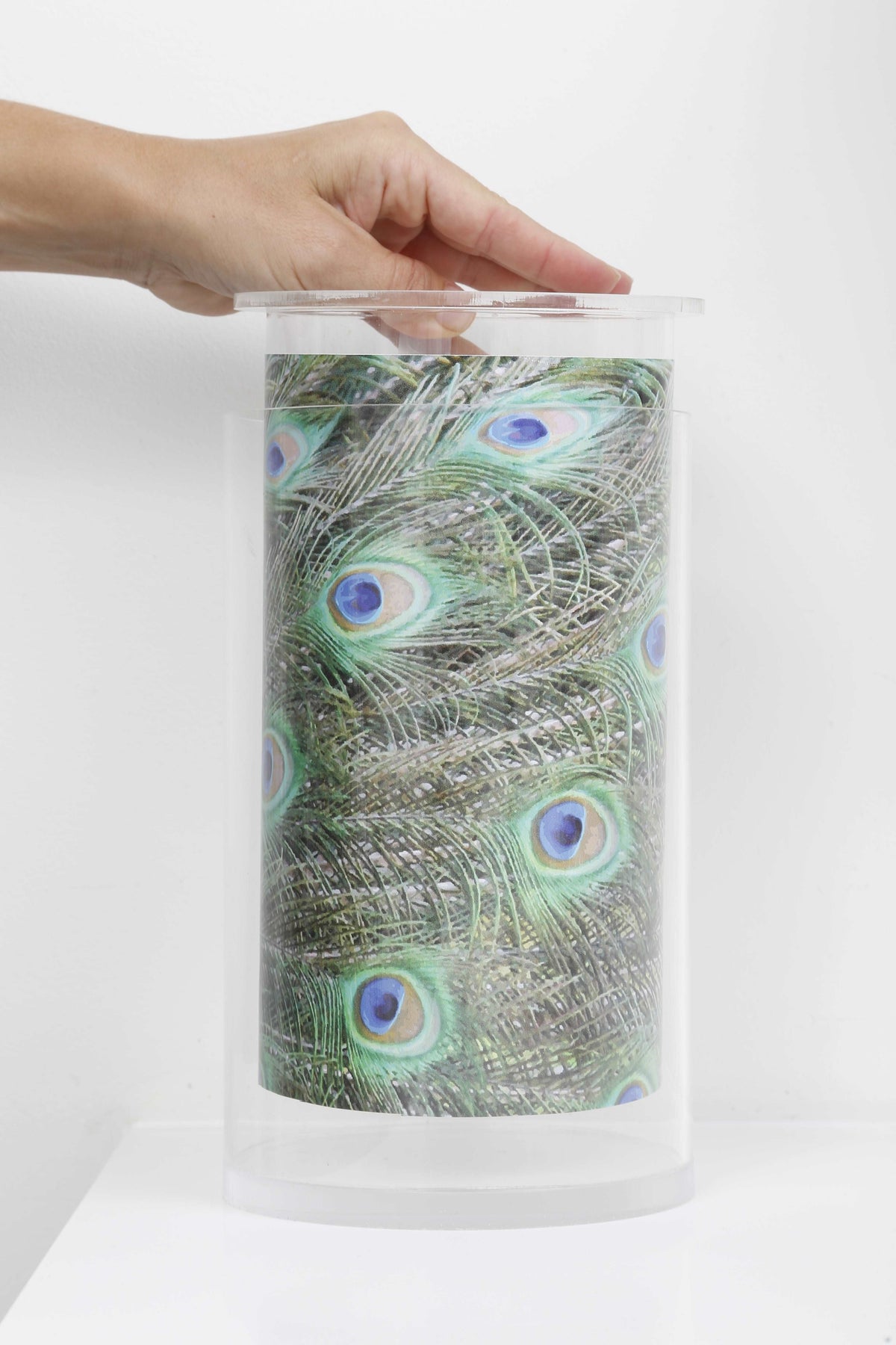 The Vase - TingeDaily