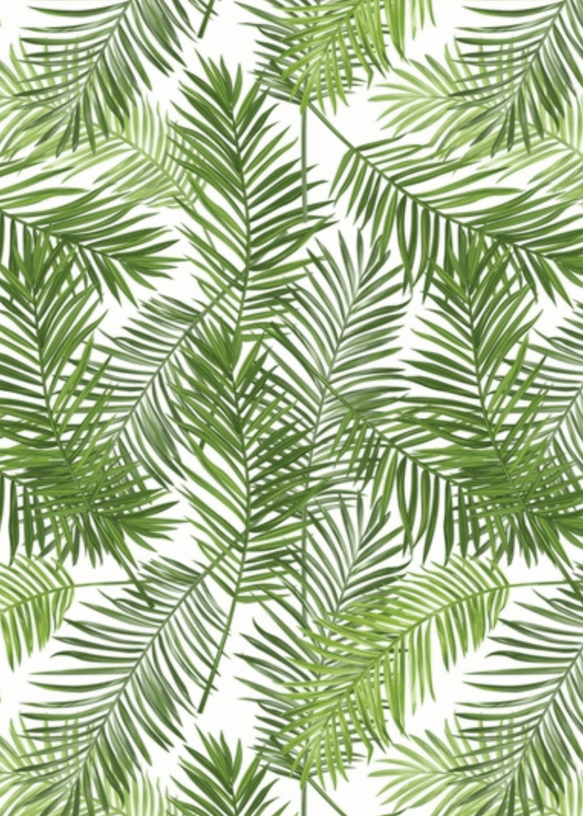 Menu Card | Tropical Palms