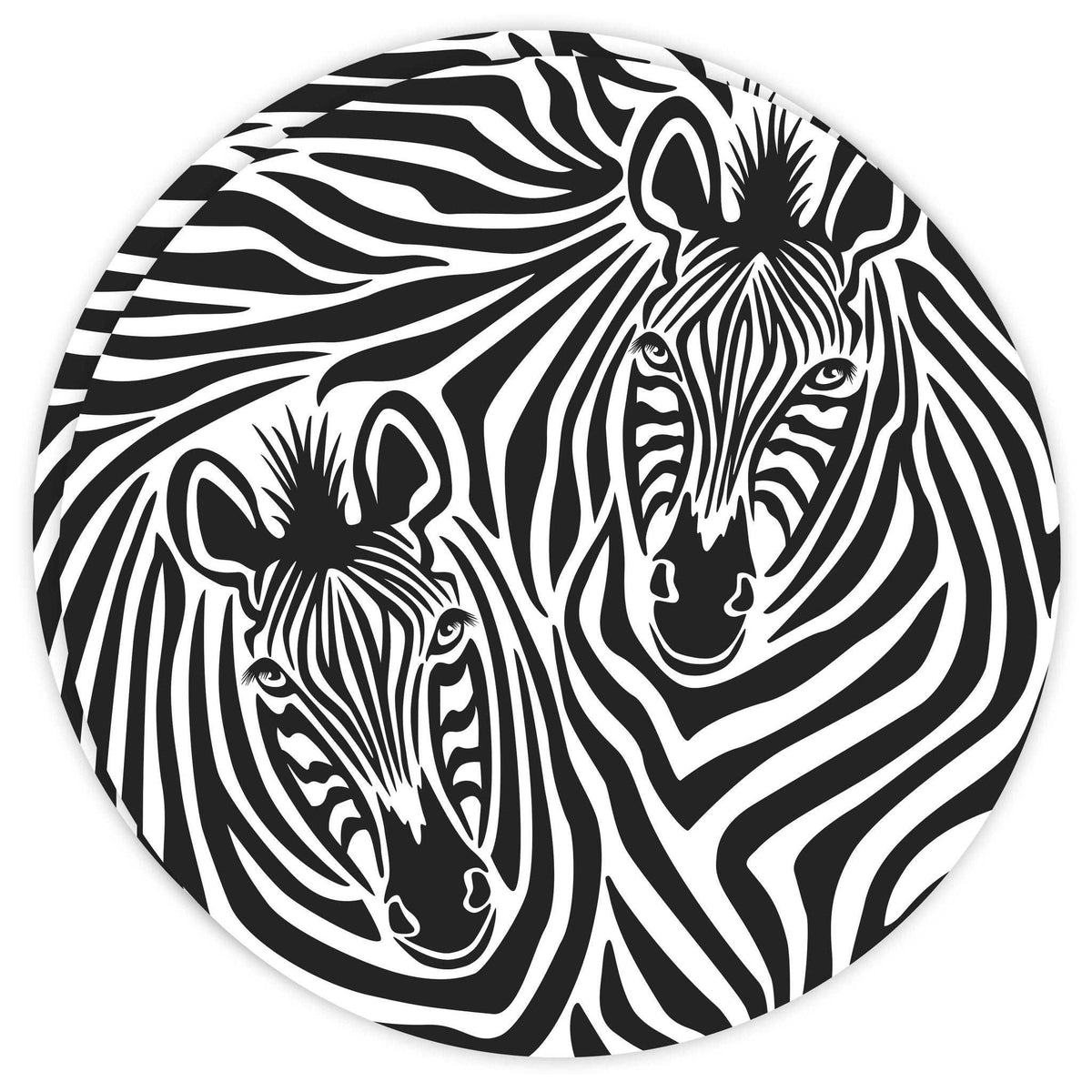 Round Dailies® | Zebra (2-Pack) - TingeDaily
