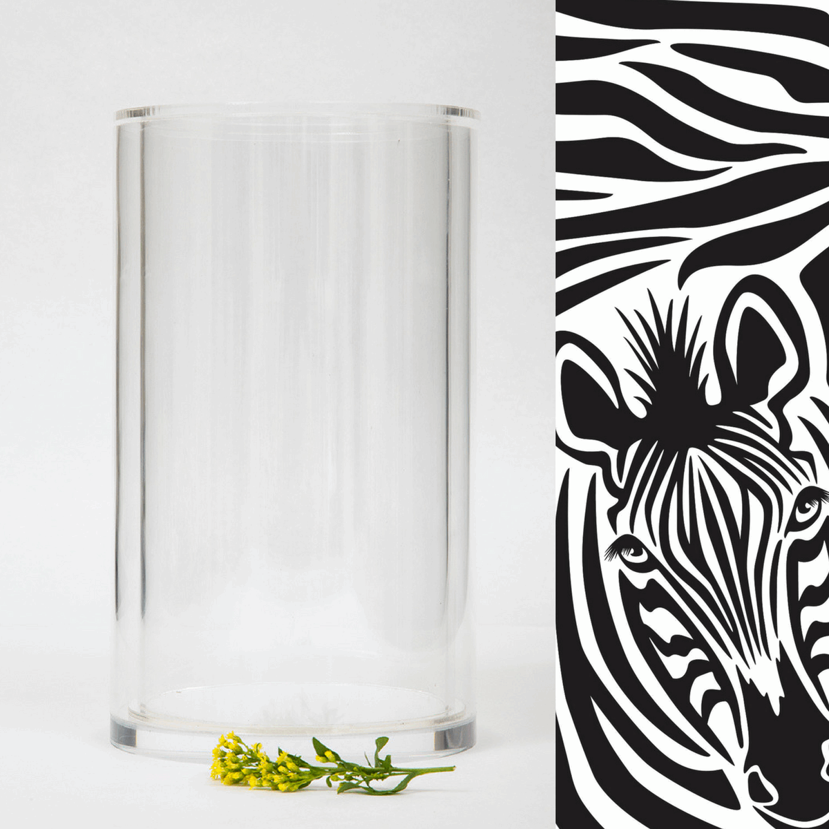 The Vase + Zebra Dailie Insert - TingeDaily