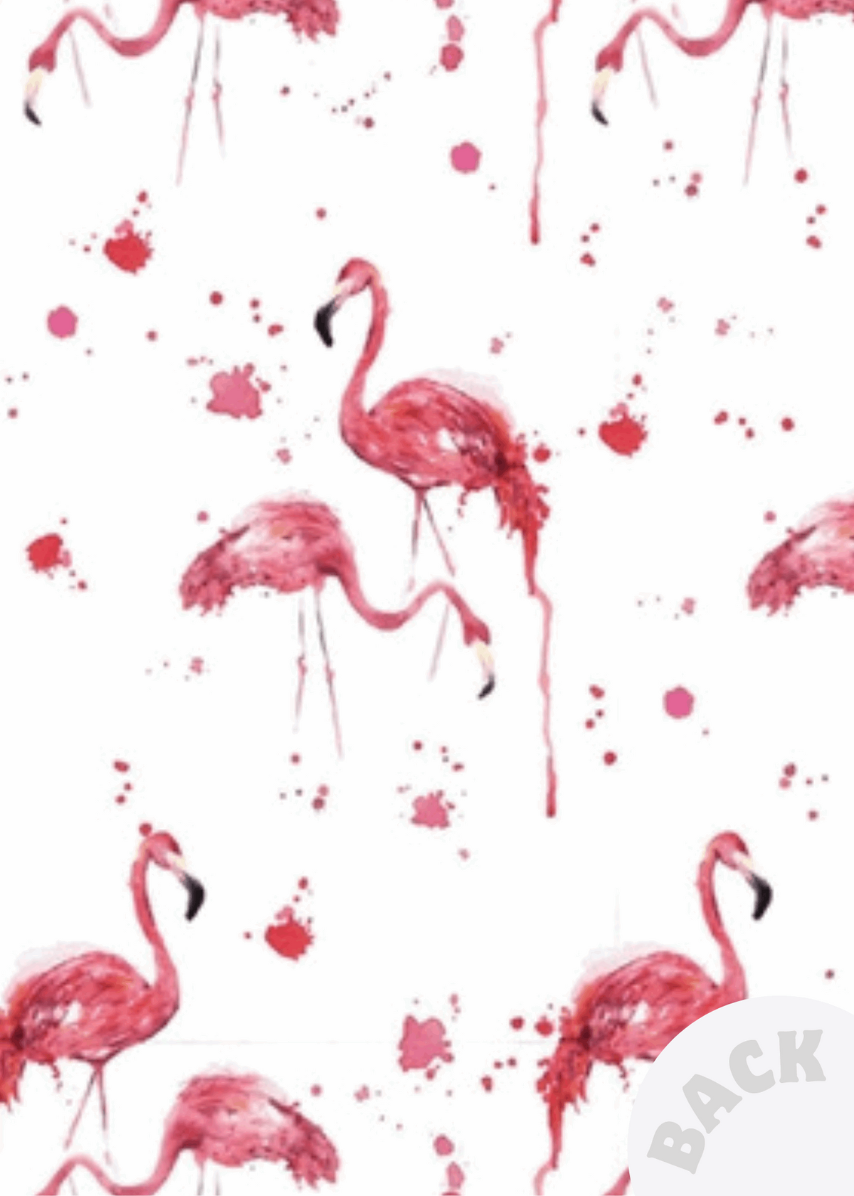 Menu Card | Flamingos