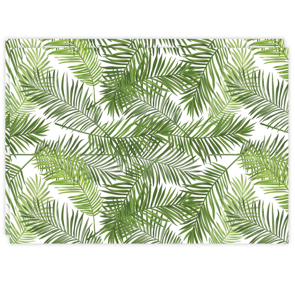 Rectangle Dailies® | Tropical Palms (2-Pack) - TingeDaily