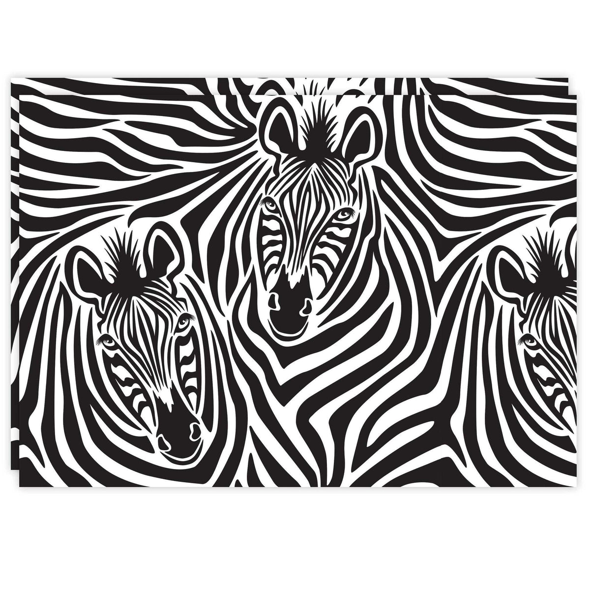 Rectangle Dailies® | Zebra (2-Pack) - TingeDaily